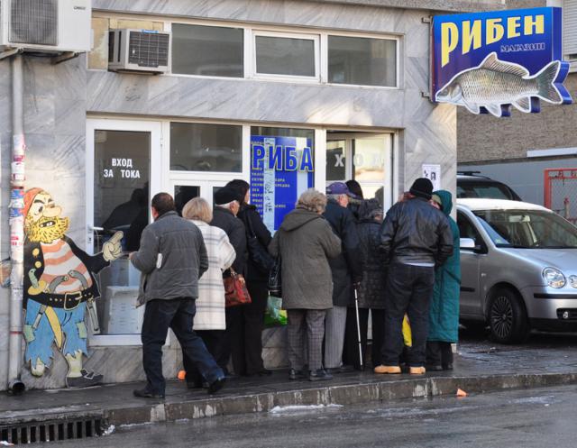 Кърджалийци се редят на опашка за хърватски шаран