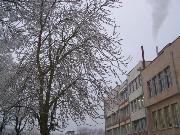 Наказват директор за сексуален тормоз в Плевен 1 5486dfbc7d258 1