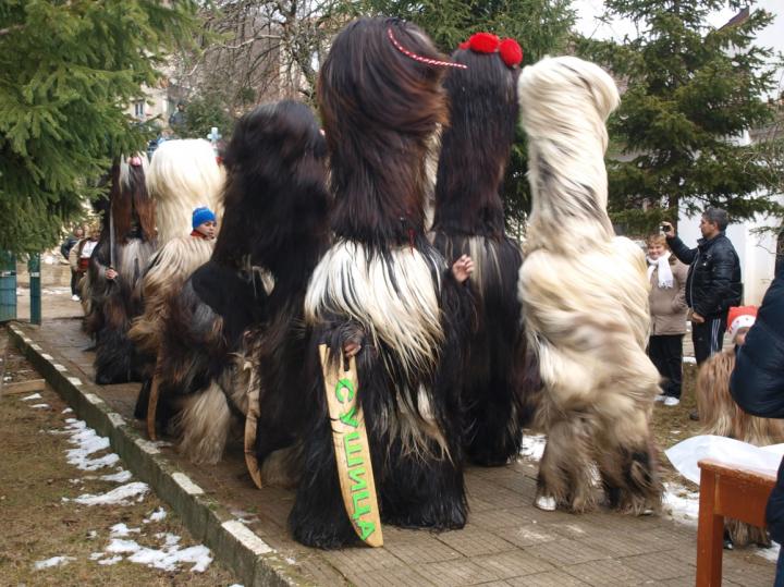 Кукерска война тресе село Крупник