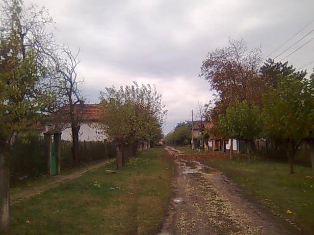 Екшън във Врачанско село! Стрелба и бой с колове