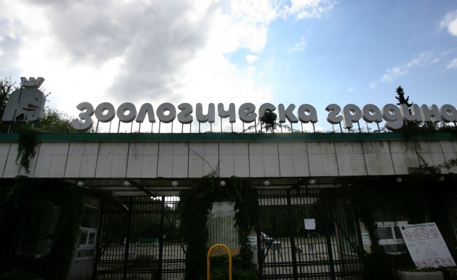 Зоопаркът в София с по-голям бюджет от 2014 г.