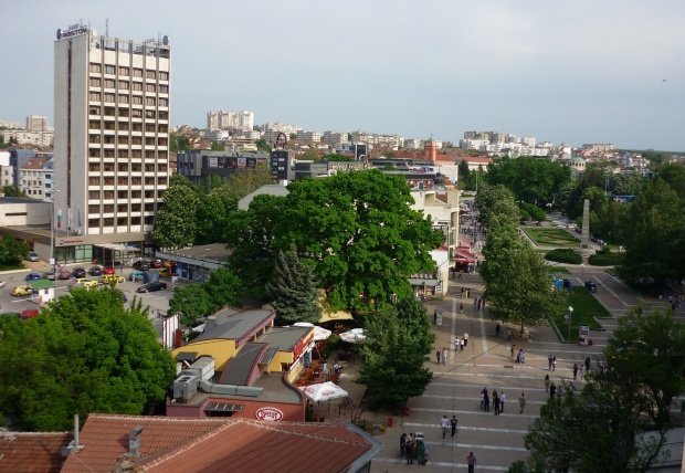 Счупен клон рани дете в центъра на Плевен