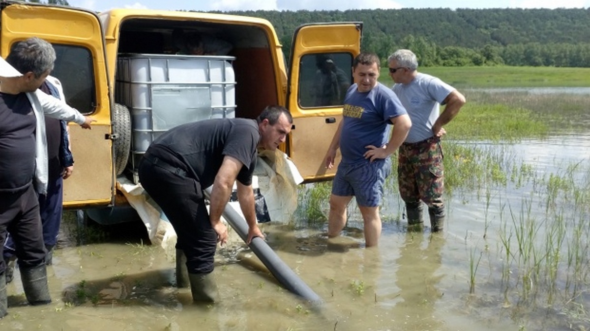 Зарибиха с 120 000 шаранчета язовир “Тича” 1 57786714 32c6 38a8