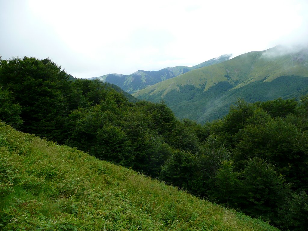 Дете изчезна в гора край карловско село