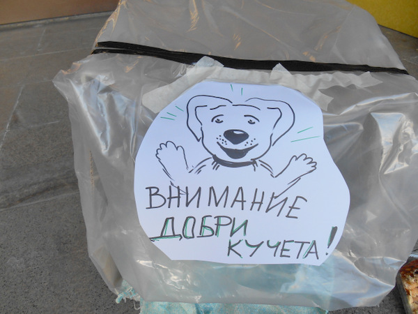 Добри хора направиха подслон за кучета в Добрич (СНИМКИ)
