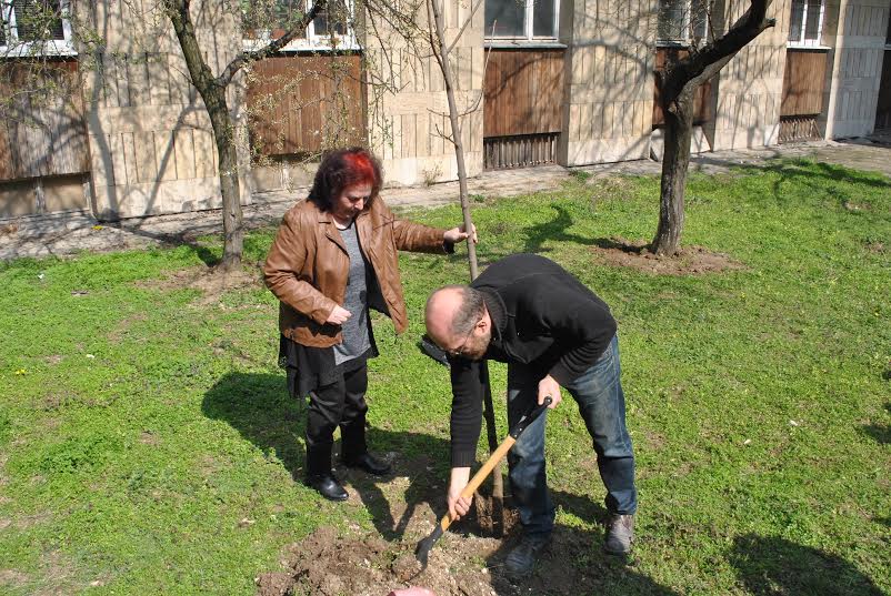 Засадиха дърво в Русе по повод  135 години Българска статистика