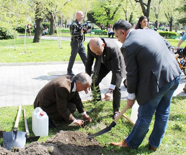 Засаждат 20 000 дка нови гори 9 Засаждат 20 000 дка нови гори