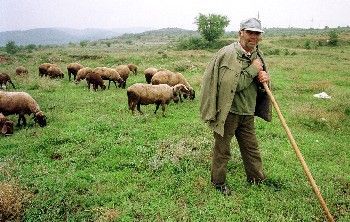 Село прави референдум след изборите 1 57786714 631e 5494