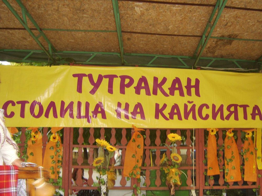 Тутракан стана столица на кайсията