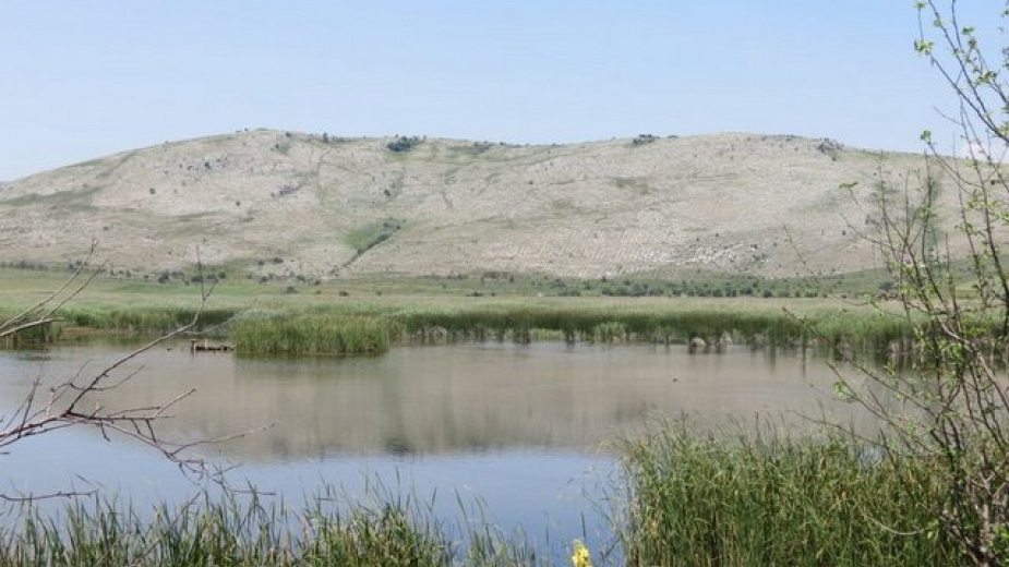 Красотата на Алдомировското блато