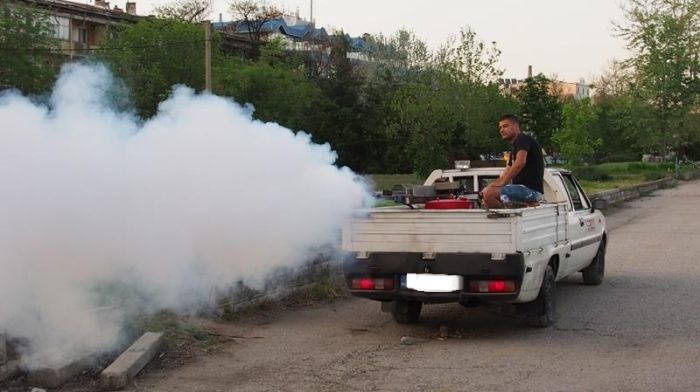 Рояци комари превзеха Кърджали