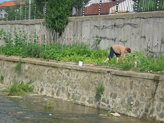 Ловят риба в центъра на Кюстендил 9 Ловят риба в центъра на Кюстендил