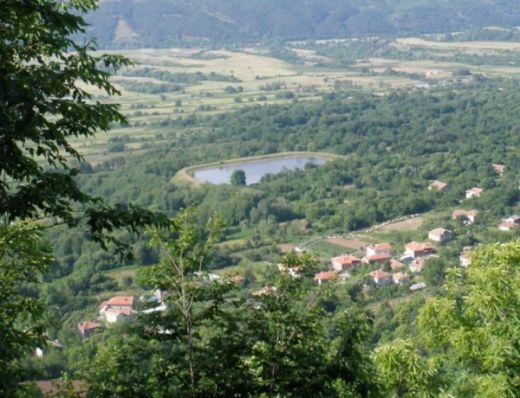 Сириец не сменя България за Германия