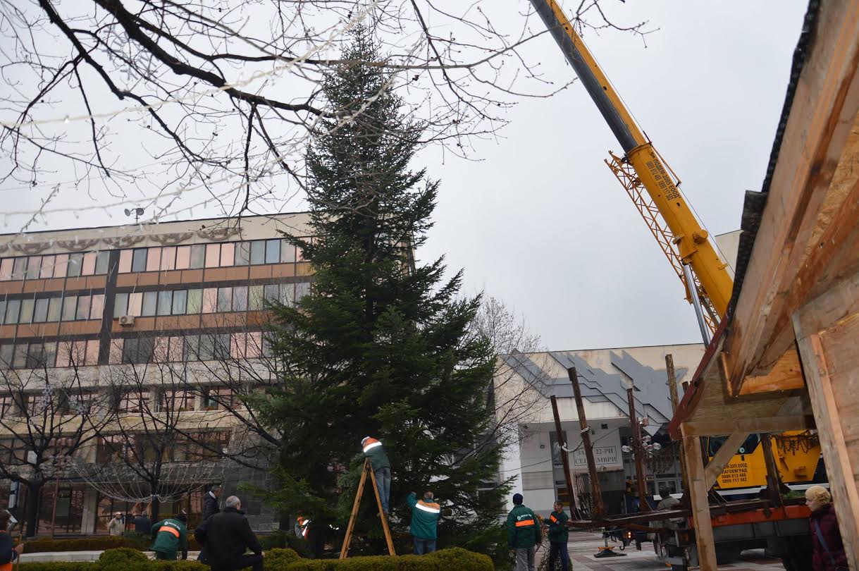 22-метрова елха украси Благоевград 9 22-метрова елха украси Благоевград
