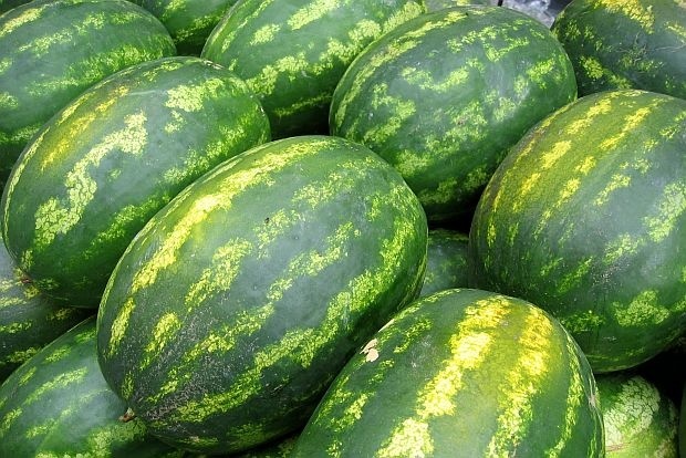 Динята поскъпва 4 пъти от борсата до магазина 9 Динята поскъпва 4 пъти от борсата до магазина