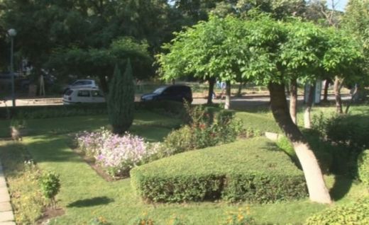 Пловдивски пенсионер превърна междублокова градинка в оазис
