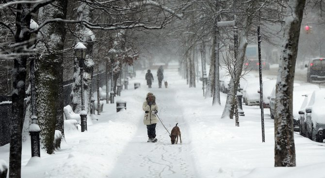 Ледена неделя
