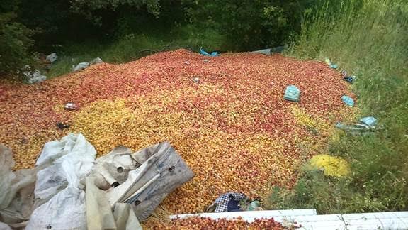 Екокатастрофа заплашва кюстендилско село