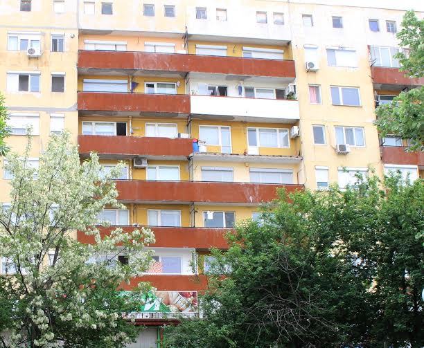 Пенсионерки отглеждат опиев мак пред жилищни блокове в Кърджали