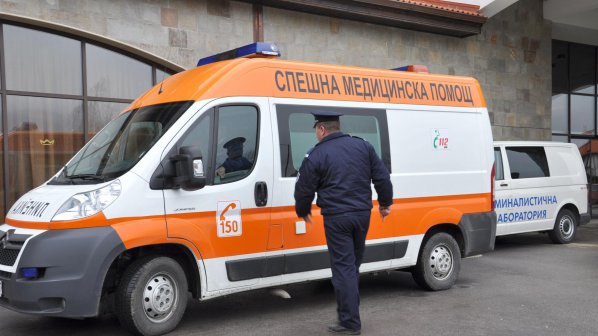 Овчарка нахапа зверски 7-годишно момче
