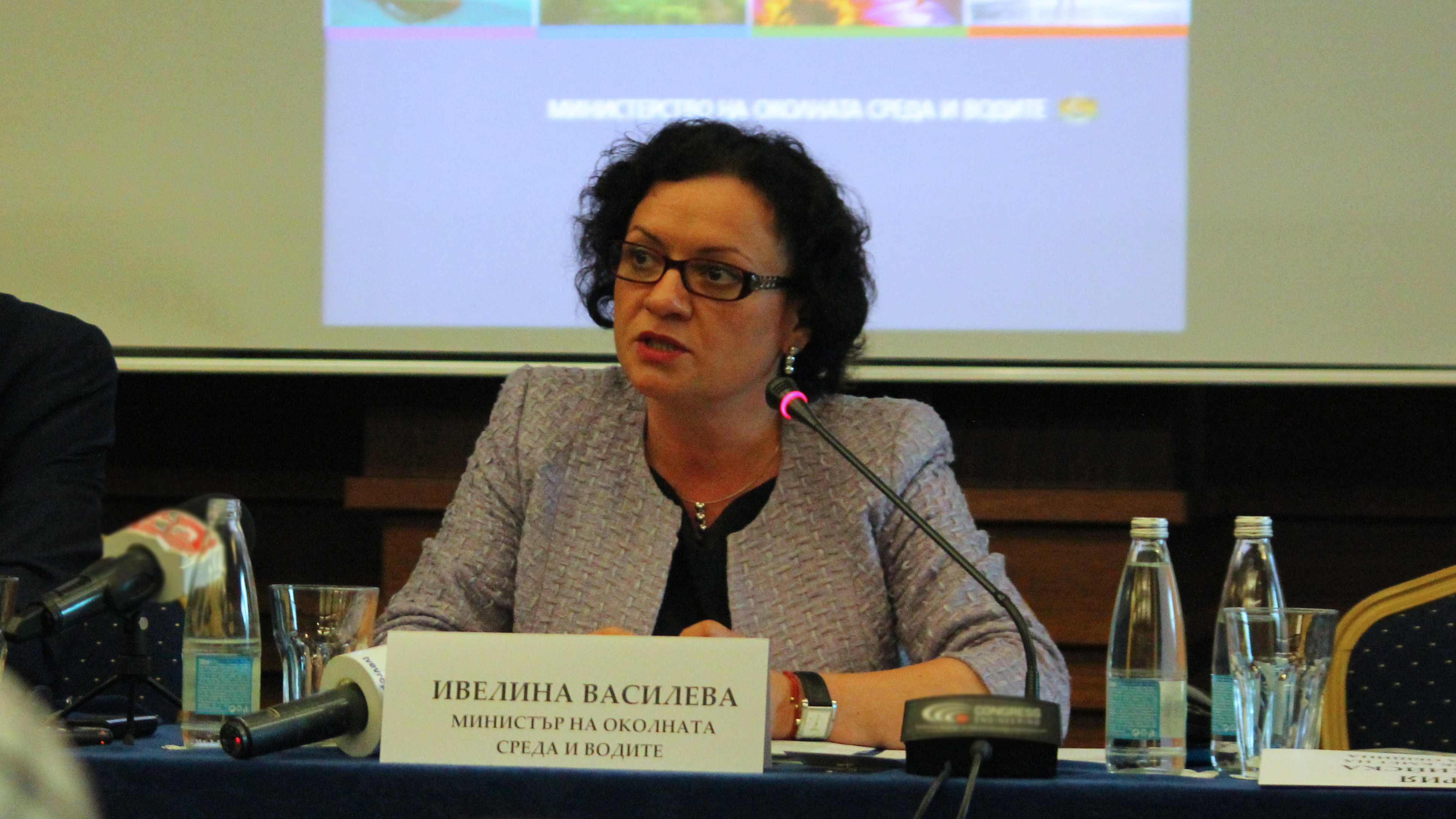 Ивелина Василева: Oсновните замърсители са колите и дървата за огрев