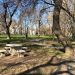 Стартира пролетно почистване край Дунава