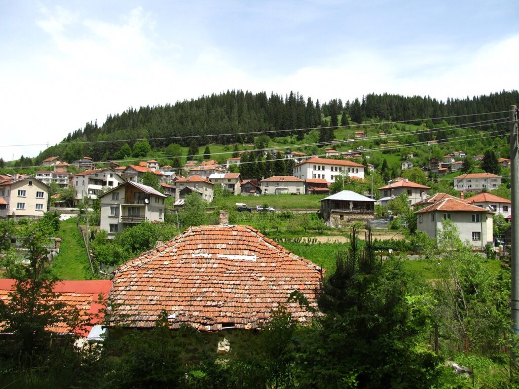 IMG 7957