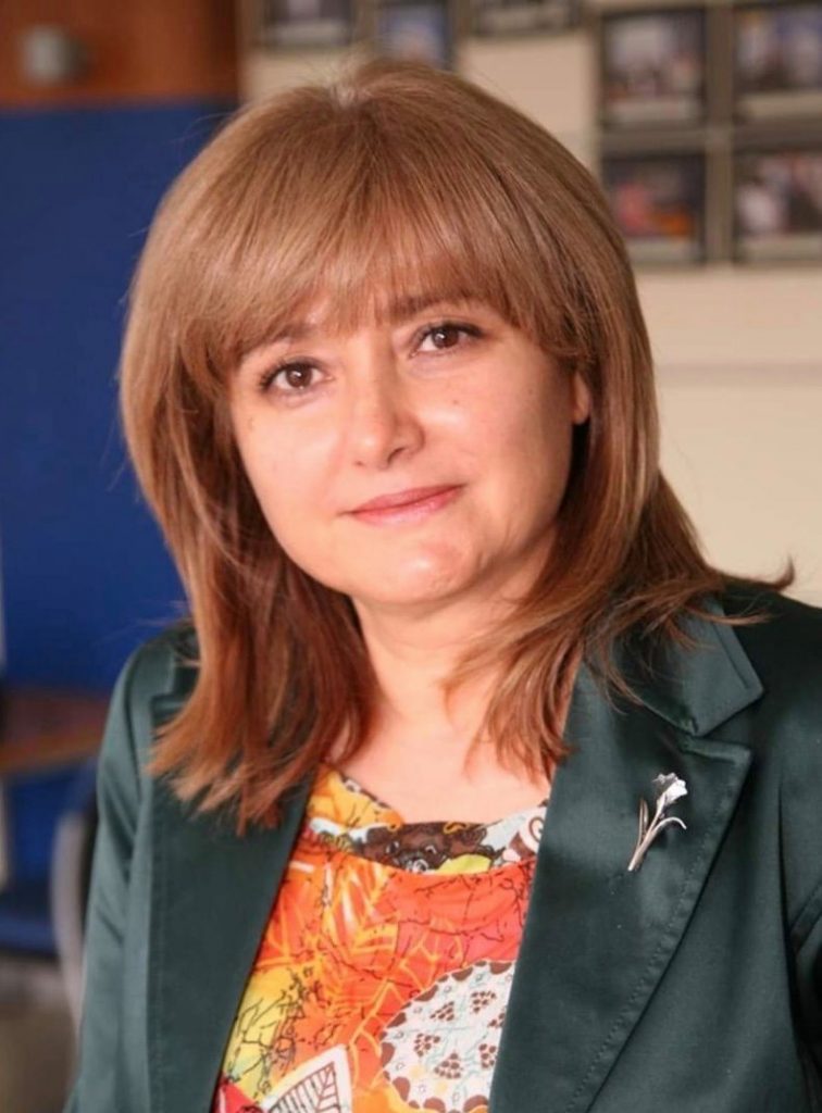 Калпавите закони са заради двете писти, по които се внасят в парламента 1 димитрова