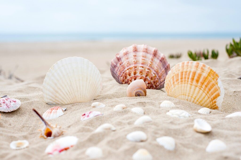 Слънчево и горещо с температури до 35° 1 beach 2879929 1920
