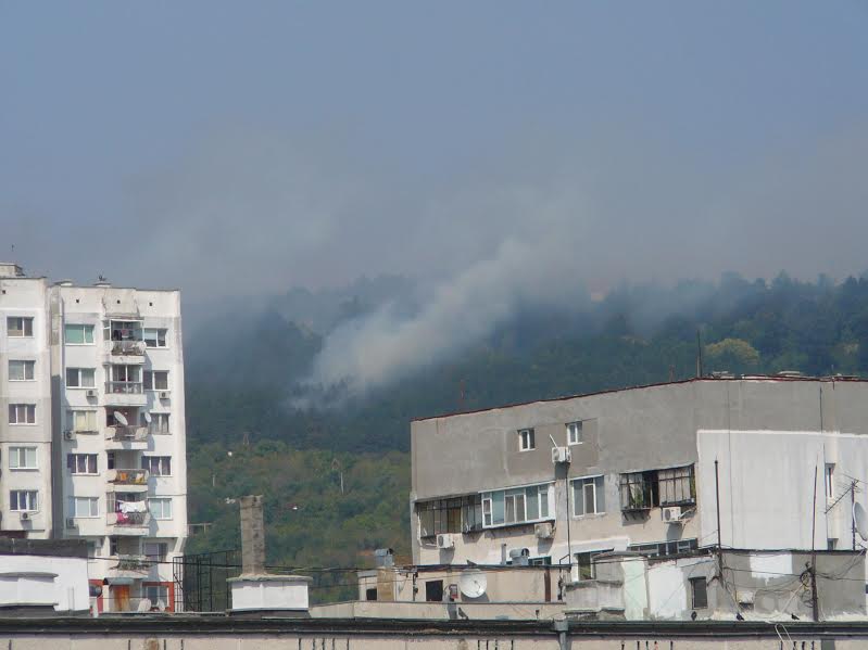 Затвориха път заради пожар край Варна 10 Затвориха път заради пожар край Варна