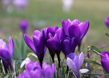До 17°днес, но с вятъра нахлува студен въздух