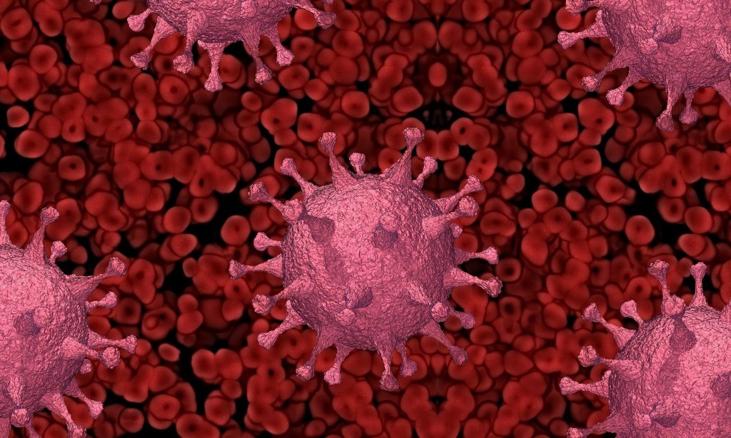 virus 5939842 1920