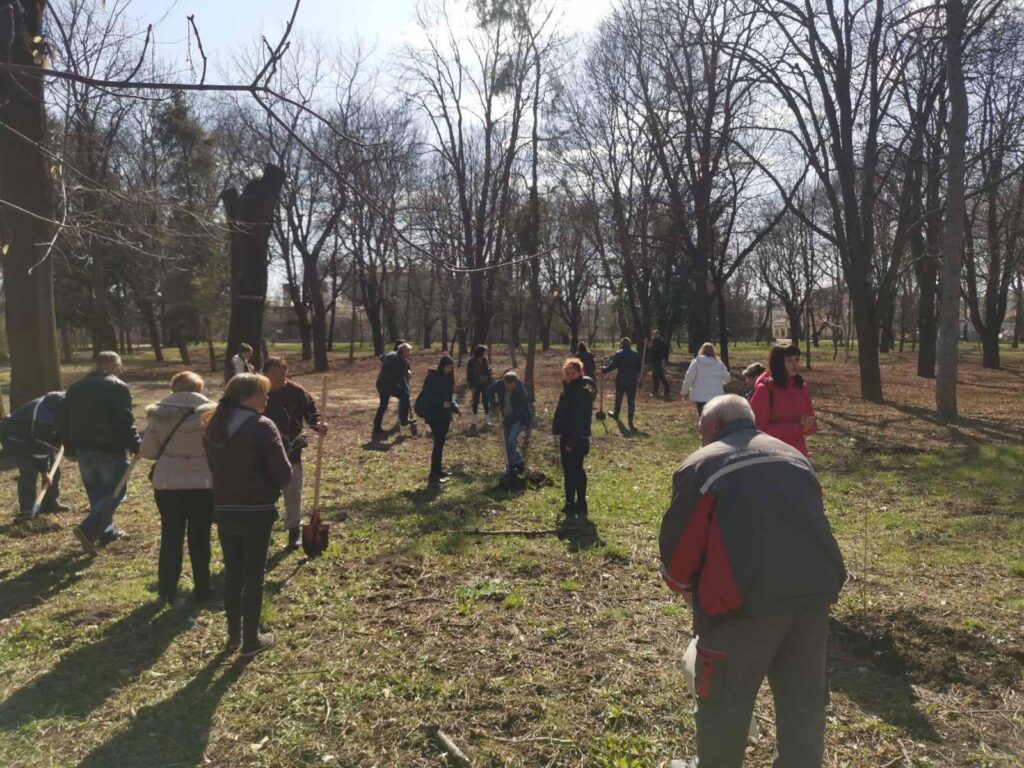 Залесиха Божурище с дъб, липа и черен бор 1 Парк Орлите залесяване