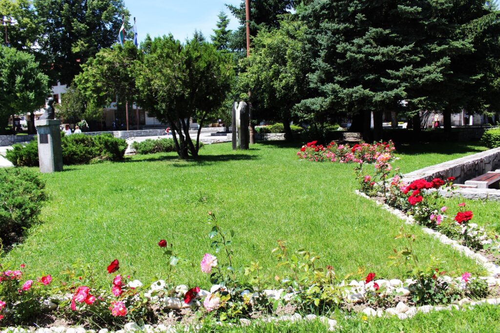 зелен 01 1
