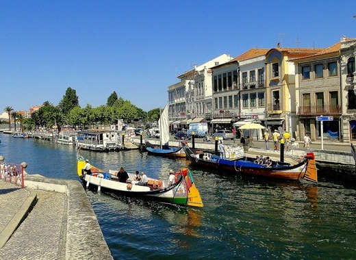 Popular biking-to-school initiative expanded in Aveiro