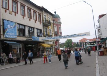 Молят ломчани да държат боклука си по дворовете