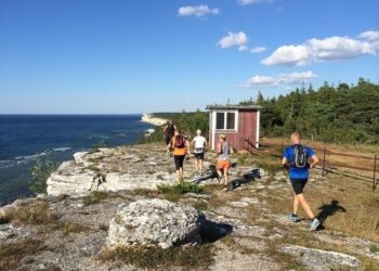 Sweden to allow unrestricted domestic travel