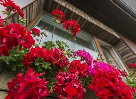 Jelgava citizens compete for city’s cleanest urban objects 8 Jelgava citizens compete for city’s cleanest urban objects