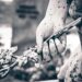 България оглави черната класация по смъртност в ЕС 8 България оглави черната класация по смъртност в ЕС
