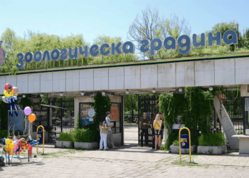 Зоопаркът остава отворен, но с маски на открито