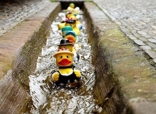 Join us for the traditional Duck Race in Luxembourg 8 Join us for the traditional Duck Race in Luxembourg