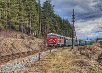 Празнично пътуване с теснолинейка на 6 май до Добринище