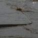 Бедствено положение в Стрелча заради замърсяване от пороите