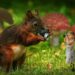 Croatia's first “forest kindergarten” opened in Pula 8 Croatia’s first “forest kindergarten” opened in Pula
