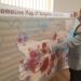 Инвестират над 19 млн. лв. в научно-изследователски център във Враца 8 Инвестират над 19 млн. лв. в научно-изследователски център във Враца
