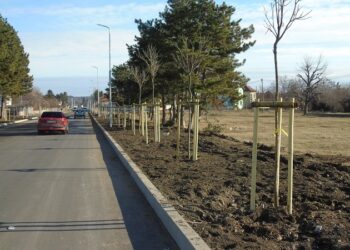 Финишира акция “Зелено” в Бяла Слатина