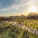 Get ready because Rock in Rio Lisboa 2018 starts tomorrow