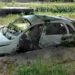 Вдигат трошките от улиците на Видин