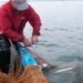 Подпомагат рибарите в Бургас и Камено с 1,5 млн. евро 8 Подпомагат рибарите в Бургас и Камено с 1,5 млн. евро