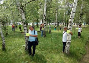Кюстендилци скочиха да спасяват десетки брези край галерията